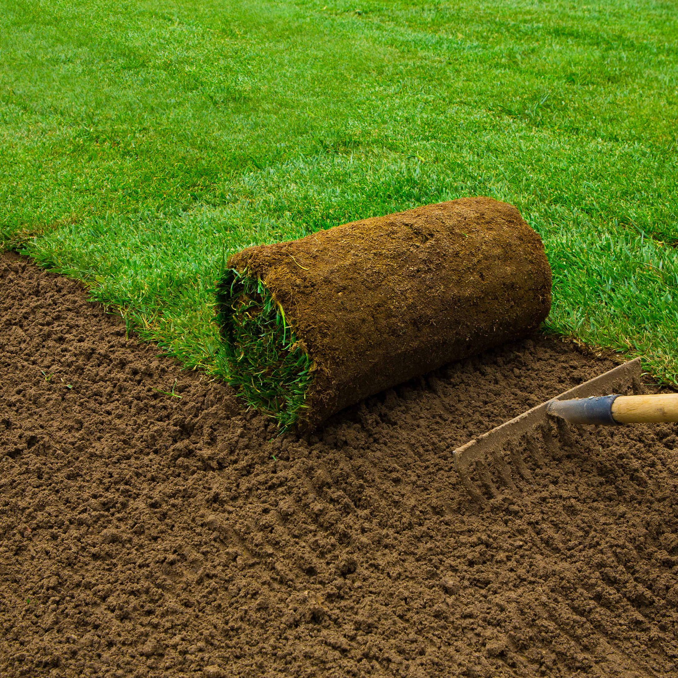 Fresh sod being installed over prepared soil by Willamette Valley Landscape in Salem, Oregon – professional lawn installation service.