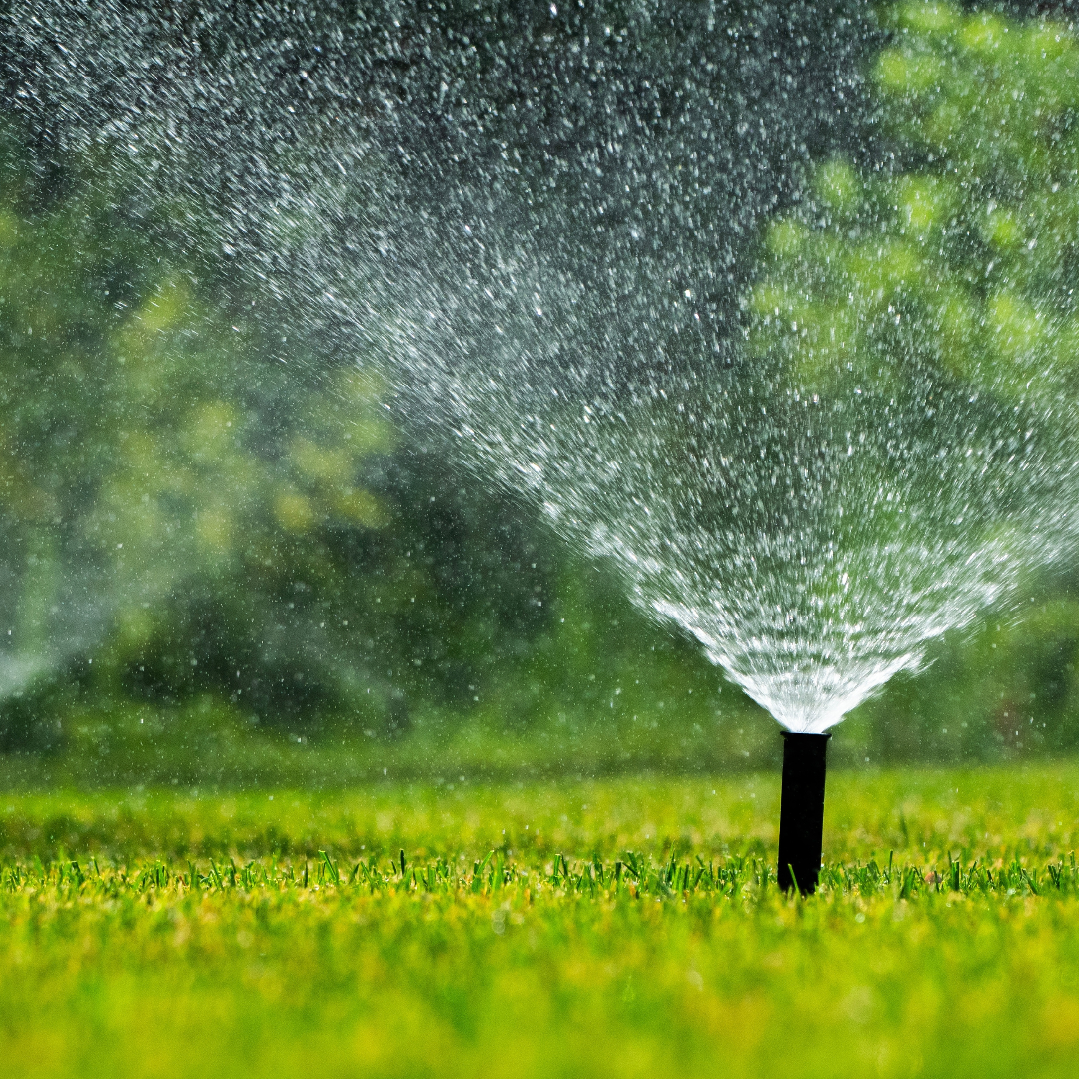 Irrigation Services in Salem
