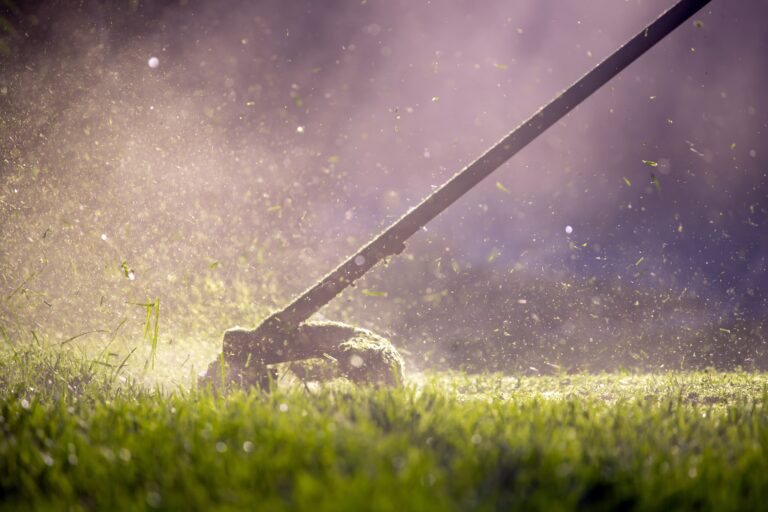Residential Lawn Care in Salem