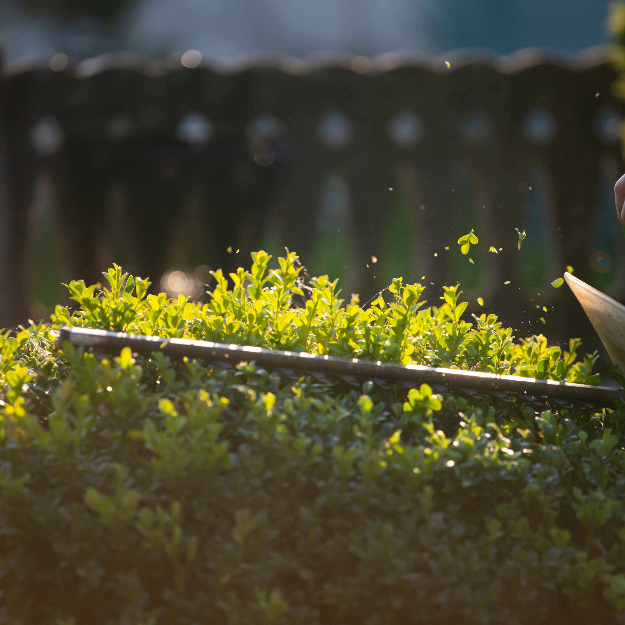 Willamette Valley Landscape Residential & Commercial Lawn Care Salem, Oregon