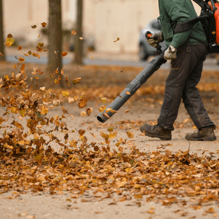 Commercial Lawn Care in Salem