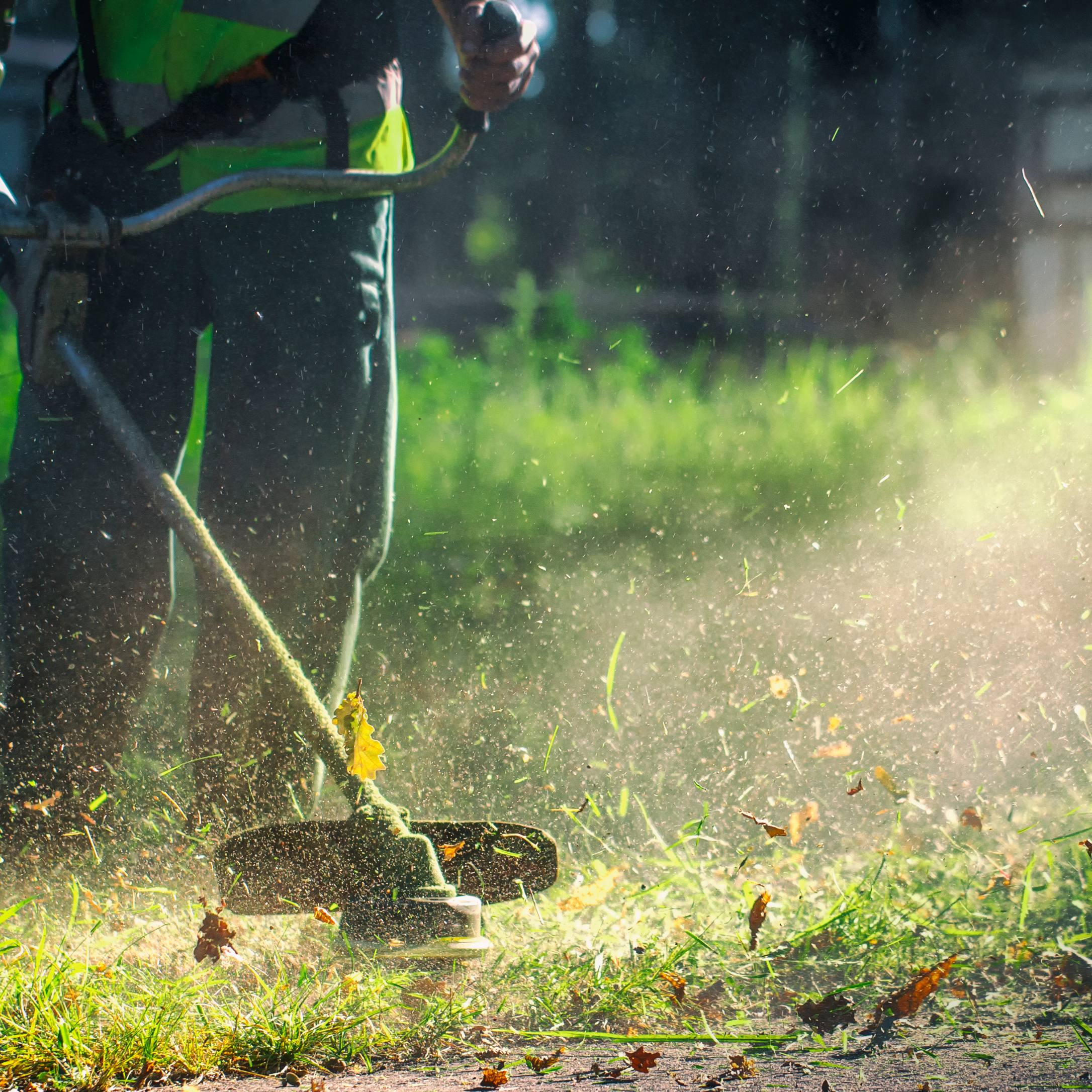 Residential Lawn Care in Salem