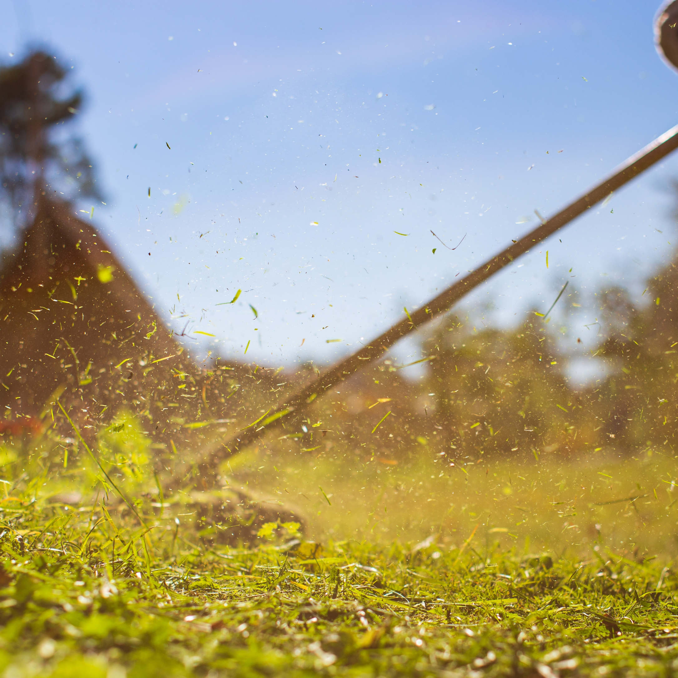 Residential Lawn Care in Salem