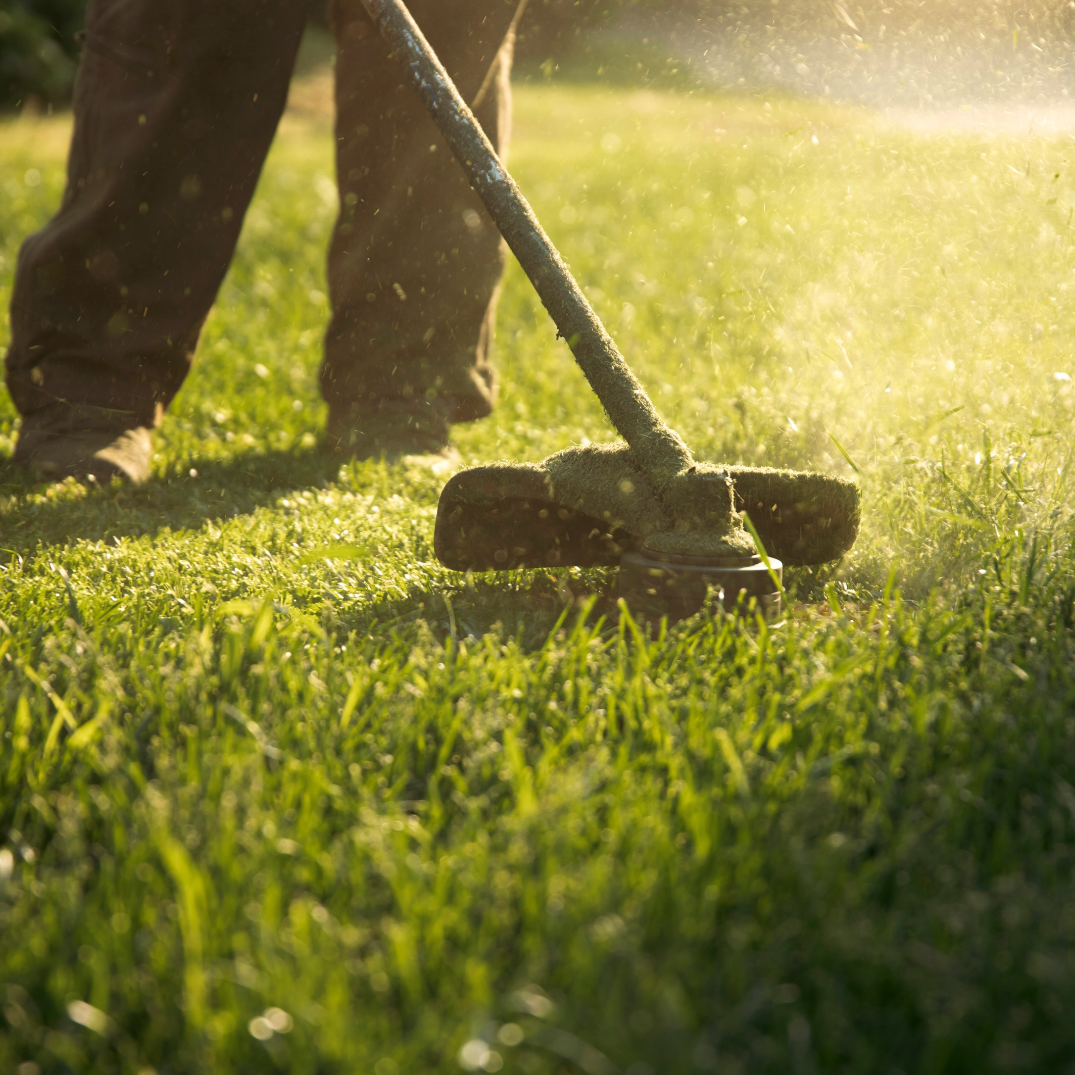 Willamette Valley Landscape Residential & Commercial Lawn Care Salem, Oregon