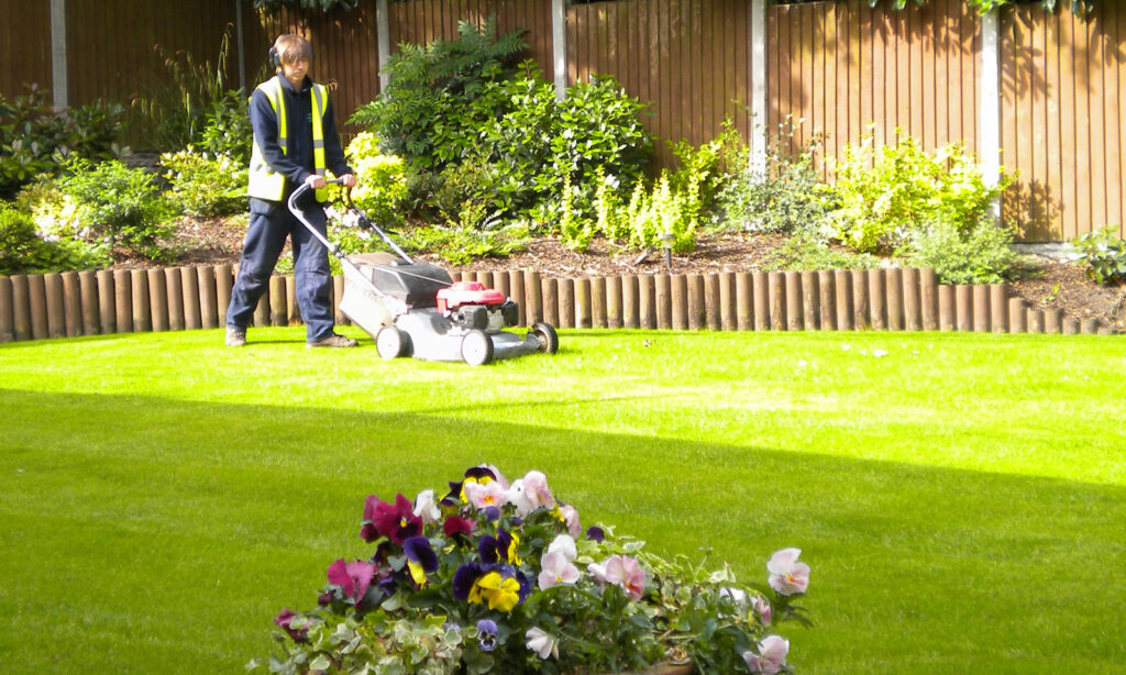 lawn care services